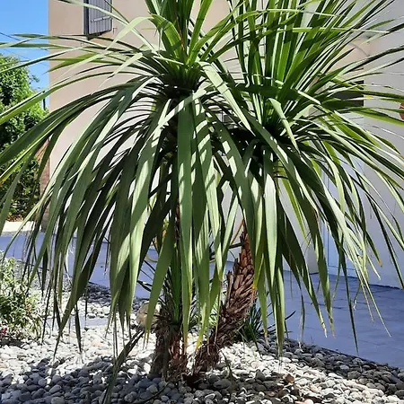 4 Personnes Avec Piscine Entre Saintes Et Royan Balanzac